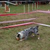 foire-haricots 2011-09-17et18